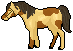 Pinto horse rpg icon