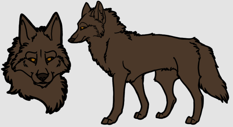 Coyote Reference PSD Preview Image