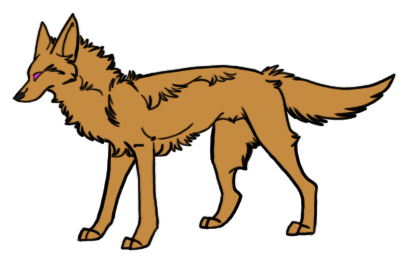 Sketchy Coyote PSD Preview Image
