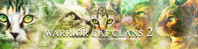 Warrior Cat Clans 2