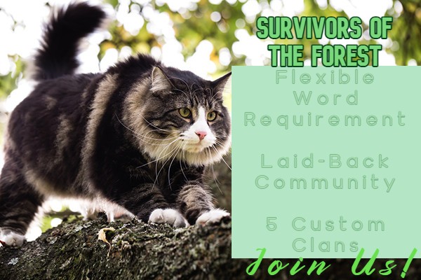 Survivors of the forest a warriorcats rpg